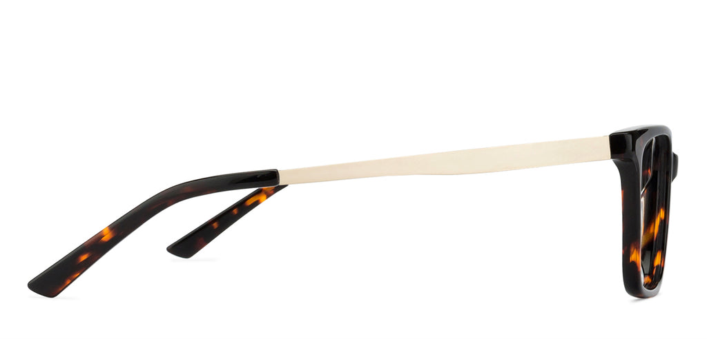 -Frame Wayfarer--EG -Frame Wayfarer--EG