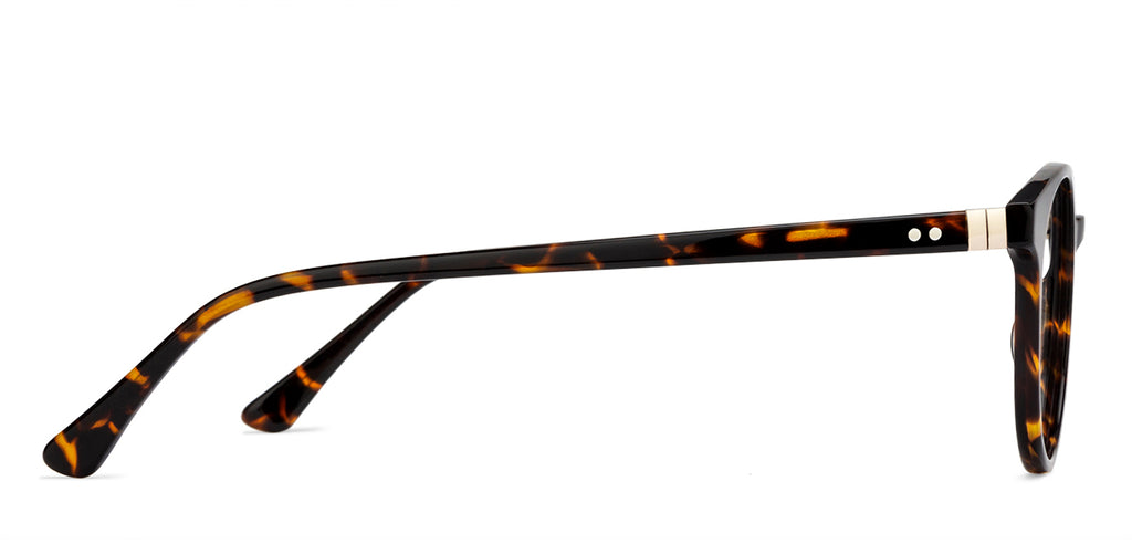 Square Eyeglasses-Frame Round--EG Square Eyeglasses-Frame Round--EG