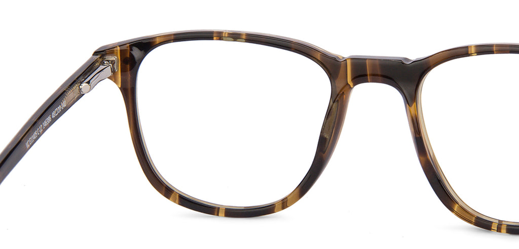 -Frame Wayfarer--EG -Frame Wayfarer--EG