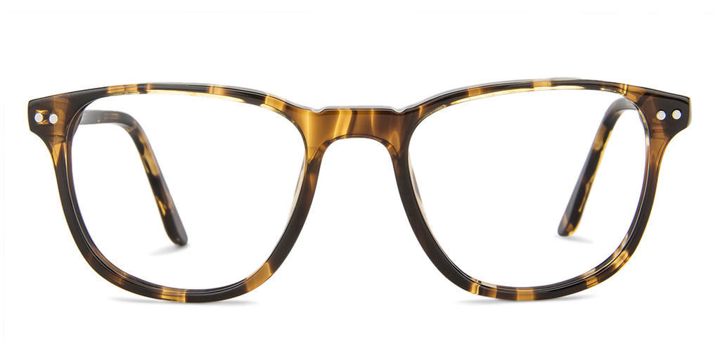 -Frame Wayfarer--EG -Frame Wayfarer--EG