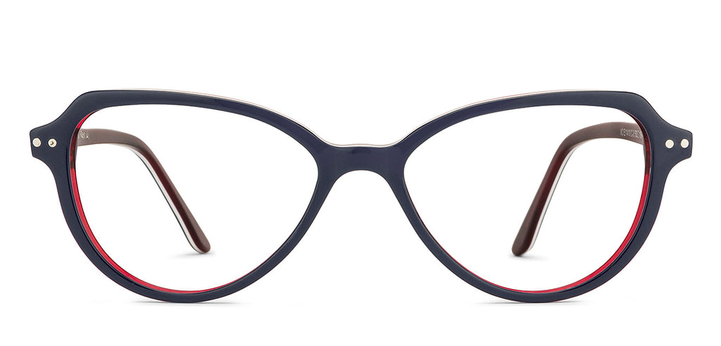 -Frame Geometric--EG -Frame Geometric--EG
