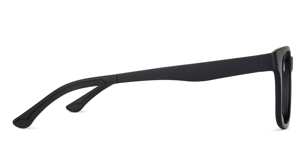 -Frame Wayfarer--EG -Frame Wayfarer--EG
