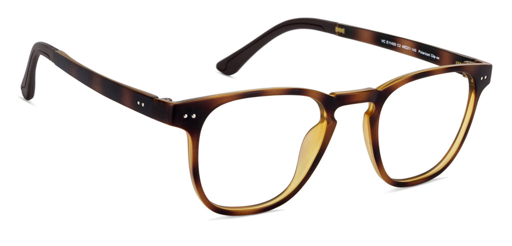 -Frame Wayfarer--EG -Frame Wayfarer--EG