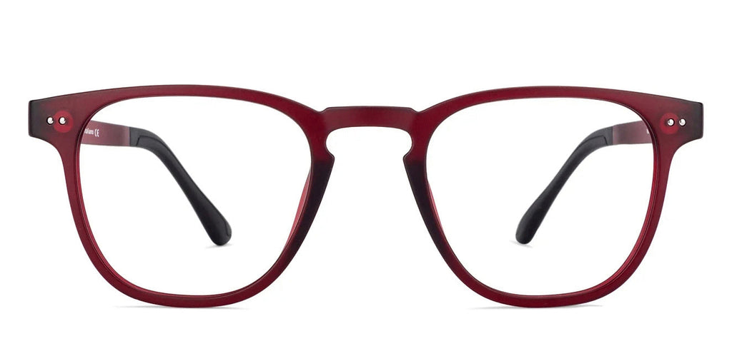 -Frame Wayfarer--EG -Frame Wayfarer--EG