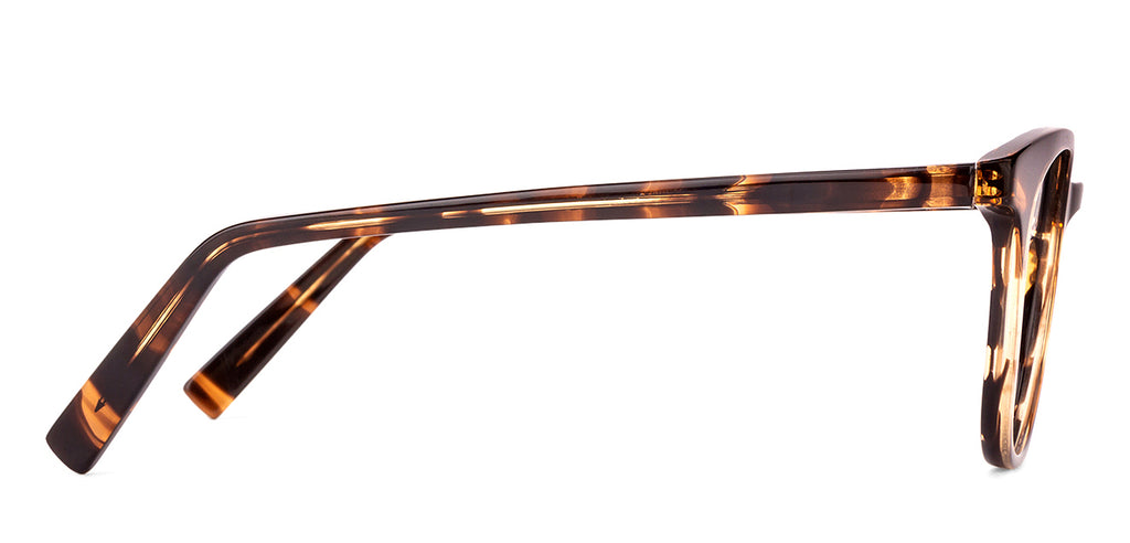 -Frame Wayfarer--EG -Frame Wayfarer--EG