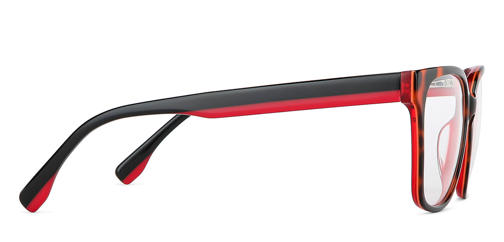 -Frame Wayfarer--EG -Frame Wayfarer--EG