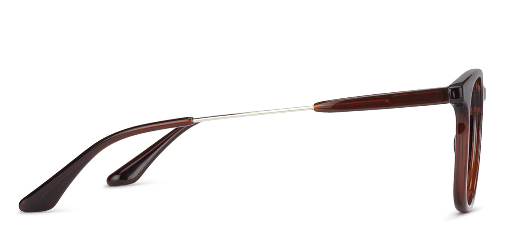 -Frame Wayfarer--EG -Frame Wayfarer--EG