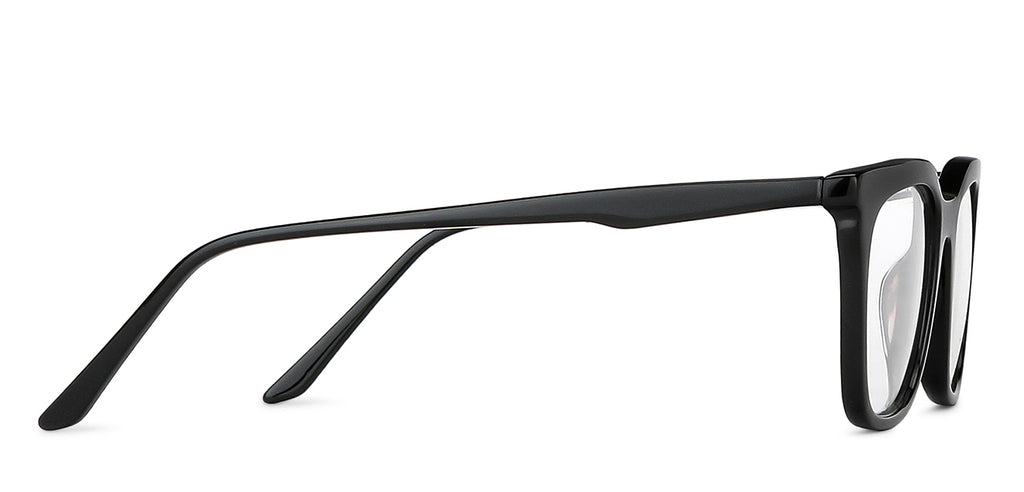 -Frame Wayfarer--EG -Frame Wayfarer--EG