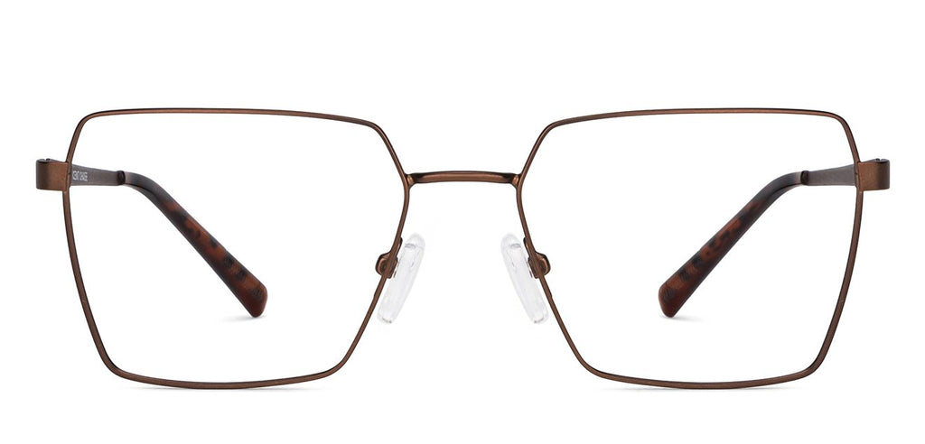-Frame Geometric--EG -Frame Geometric--EG