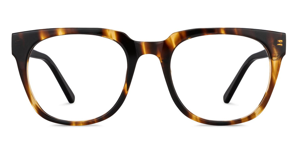 Rich Acetates-Frame Square--EG Rich Acetates-Frame Square--EG