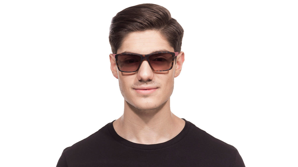 -Frame Wayfarer--SG -Frame Wayfarer--SG