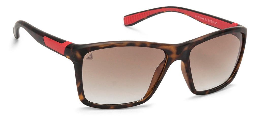 -Frame Wayfarer--SG -Frame Wayfarer--SG
