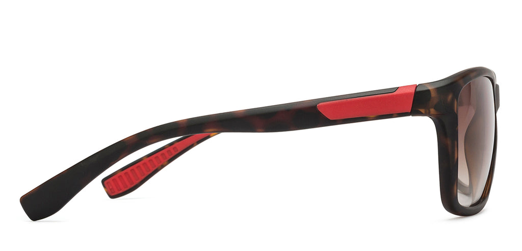 -Frame Wayfarer--SG -Frame Wayfarer--SG