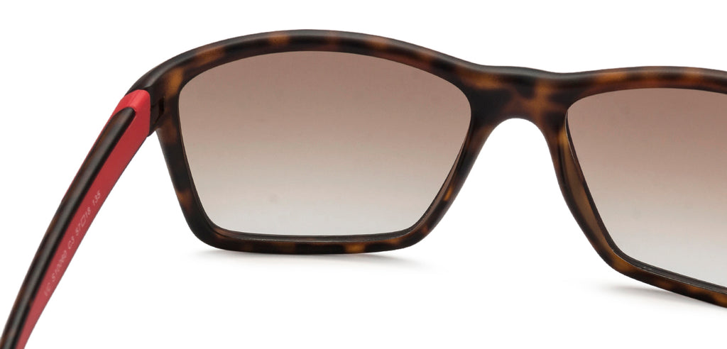 -Frame Wayfarer--SG -Frame Wayfarer--SG