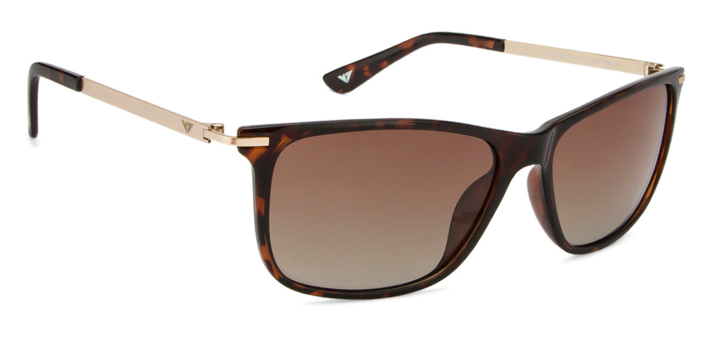 -Frame Rectangle--SG -Frame Rectangle--SG