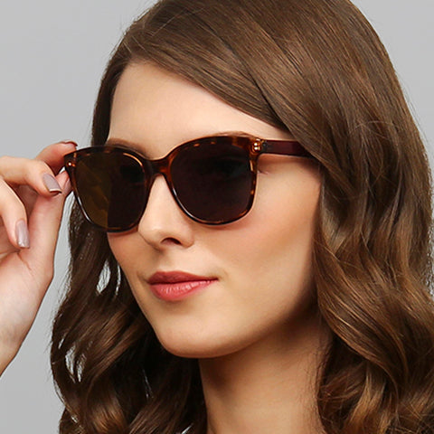 -Frame Wayfarer--SG -Frame Wayfarer--SG