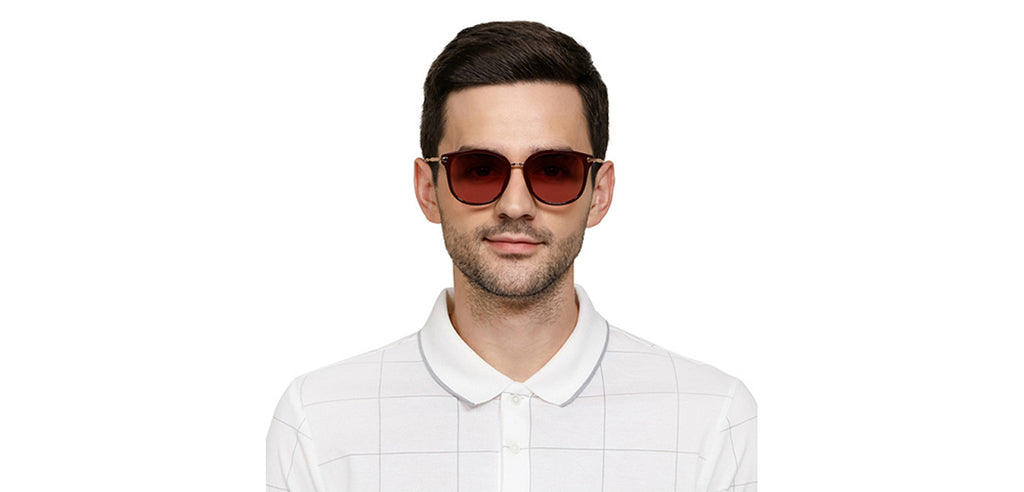 -Frame Wayfarer--SG -Frame Wayfarer--SG