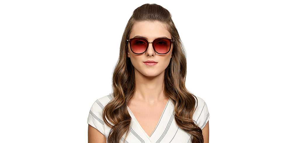 -Frame Wayfarer--SG -Frame Wayfarer--SG