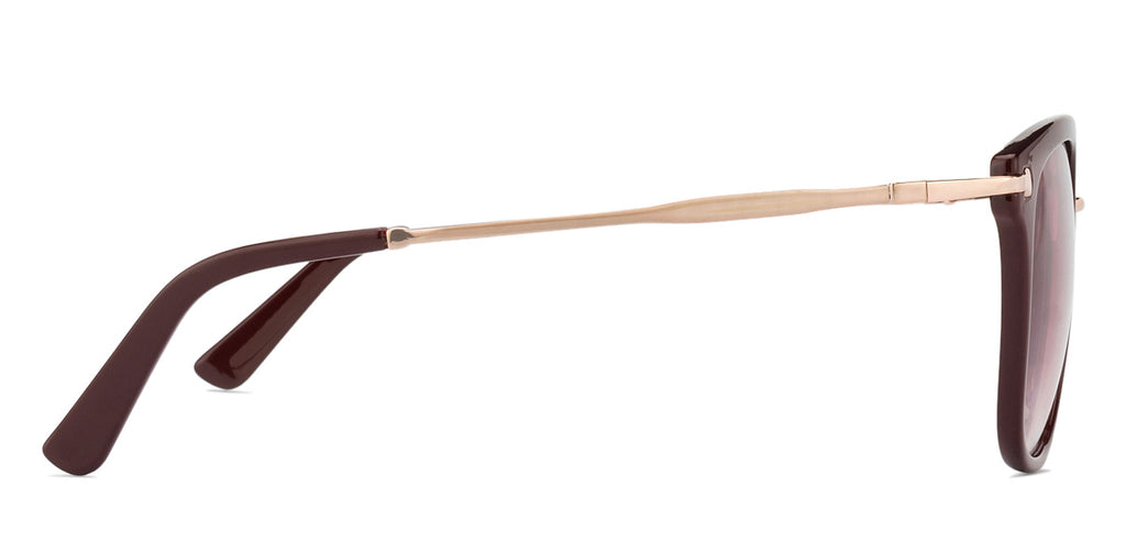 -Frame Wayfarer--SG -Frame Wayfarer--SG