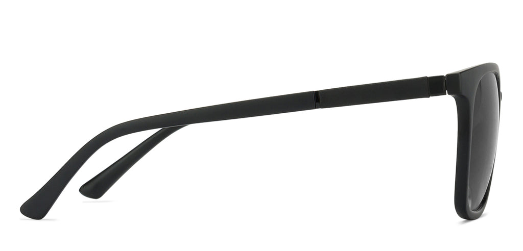 -Frame Wayfarer--SG -Frame Wayfarer--SG