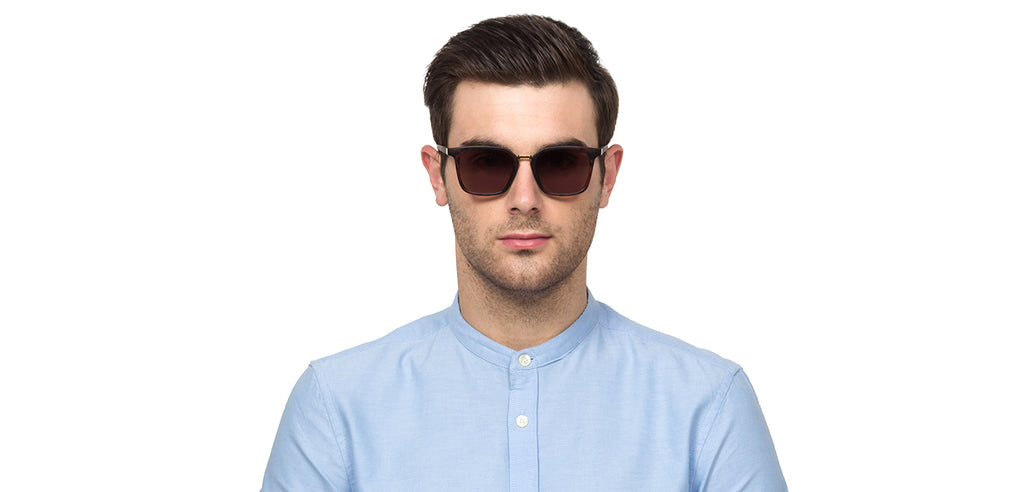 -Frame Wayfarer--SG -Frame Wayfarer--SG