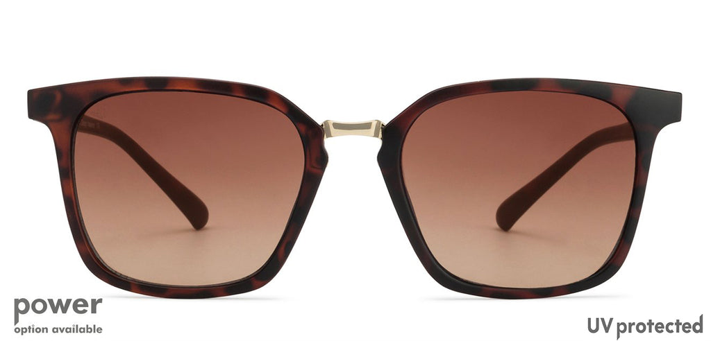 -Frame Wayfarer--SG -Frame Wayfarer--SG