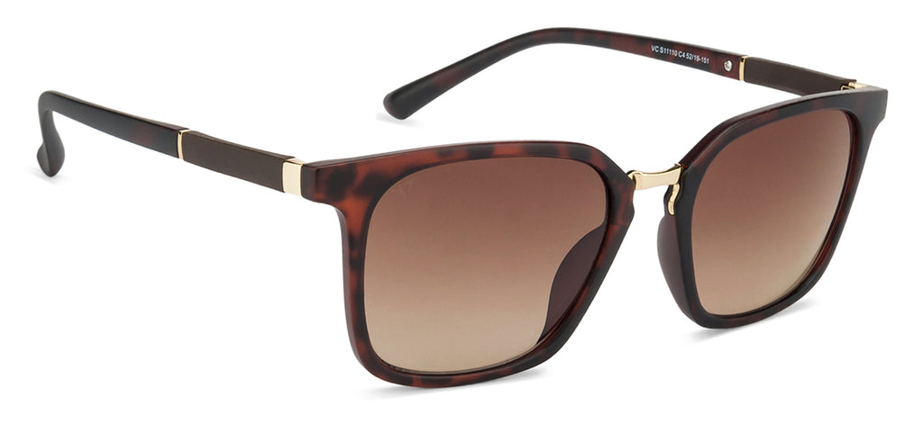 -Frame Wayfarer--SG -Frame Wayfarer--SG