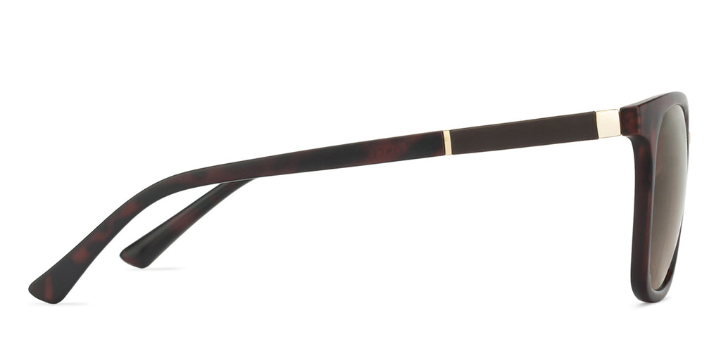 -Frame Wayfarer--SG -Frame Wayfarer--SG