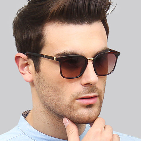 -Frame Wayfarer--SG -Frame Wayfarer--SG