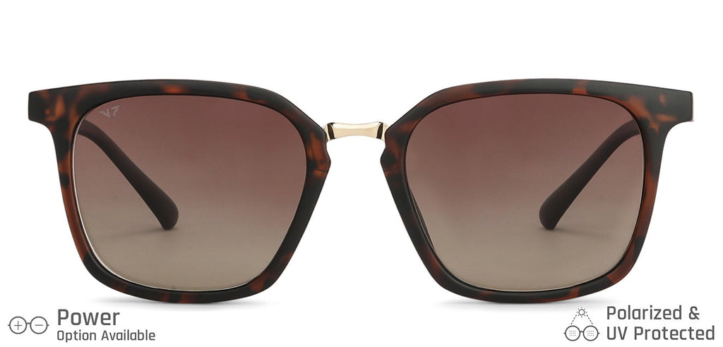 -Frame Wayfarer--SG -Frame Wayfarer--SG