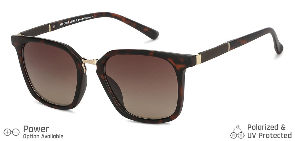 -Frame Wayfarer--SG -Frame Wayfarer--SG
