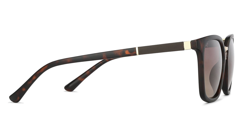 -Frame Wayfarer--SG -Frame Wayfarer--SG