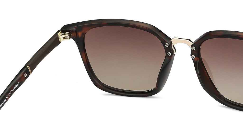-Frame Wayfarer--SG -Frame Wayfarer--SG