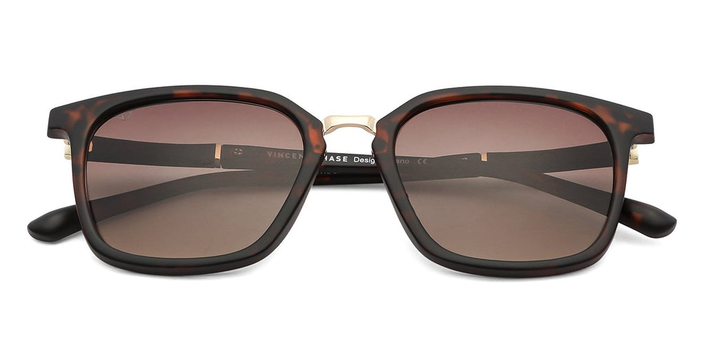-Frame Wayfarer--SG -Frame Wayfarer--SG