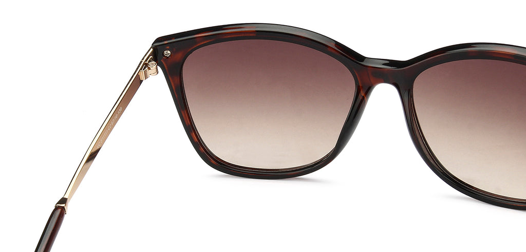-Frame Cat Eye--SG -Frame Cat Eye--SG