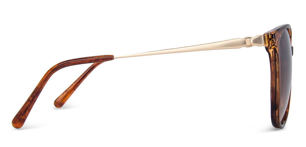 -Frame Cat Eye--SG -Frame Cat Eye--SG
