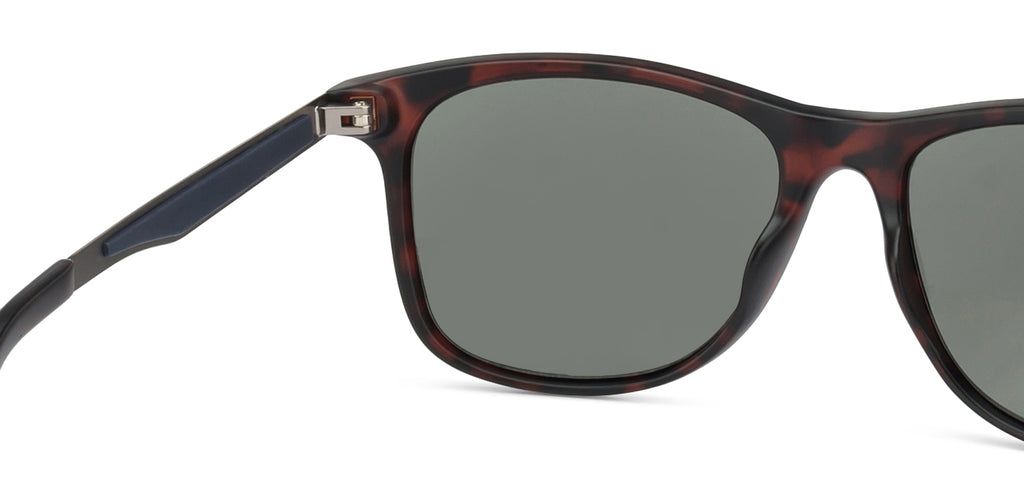 -Frame Wayfarer--SG -Frame Wayfarer--SG