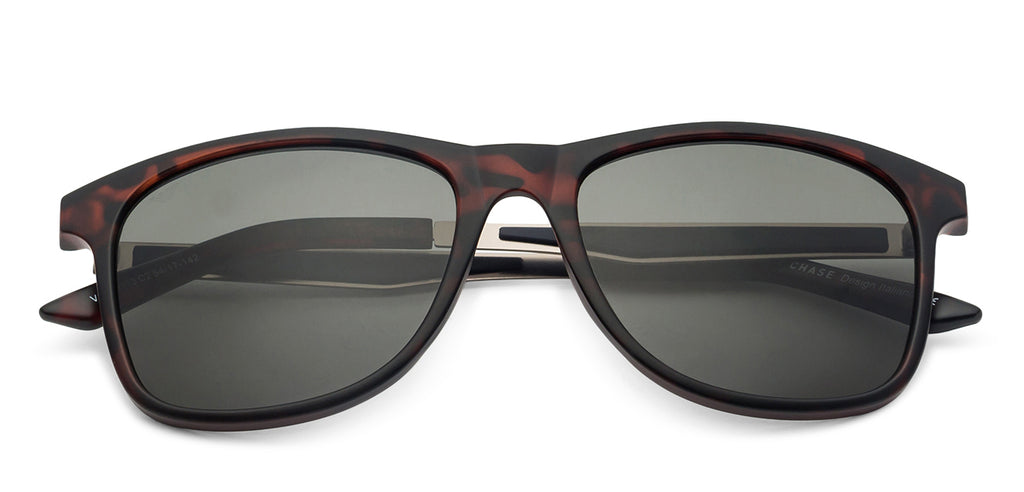 -Frame Wayfarer--SG -Frame Wayfarer--SG
