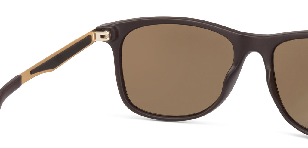 -Frame Wayfarer--SG -Frame Wayfarer--SG