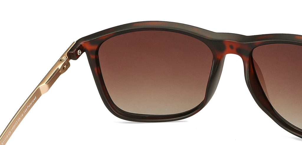 -Frame Rectangle--SG -Frame Rectangle--SG