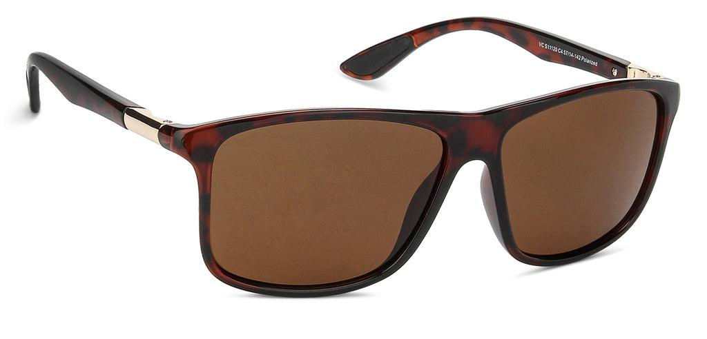 -Frame Wayfarer--SG -Frame Wayfarer--SG