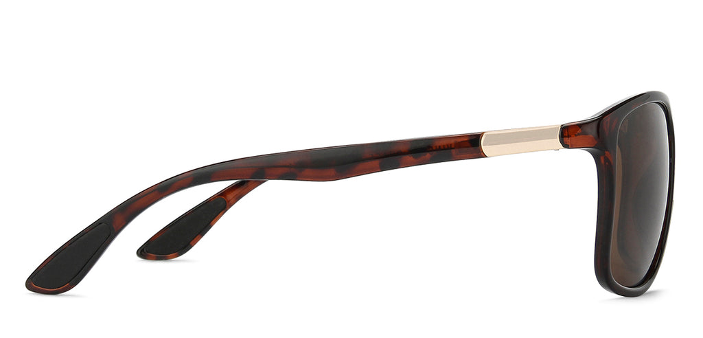 -Frame Wayfarer--SG -Frame Wayfarer--SG