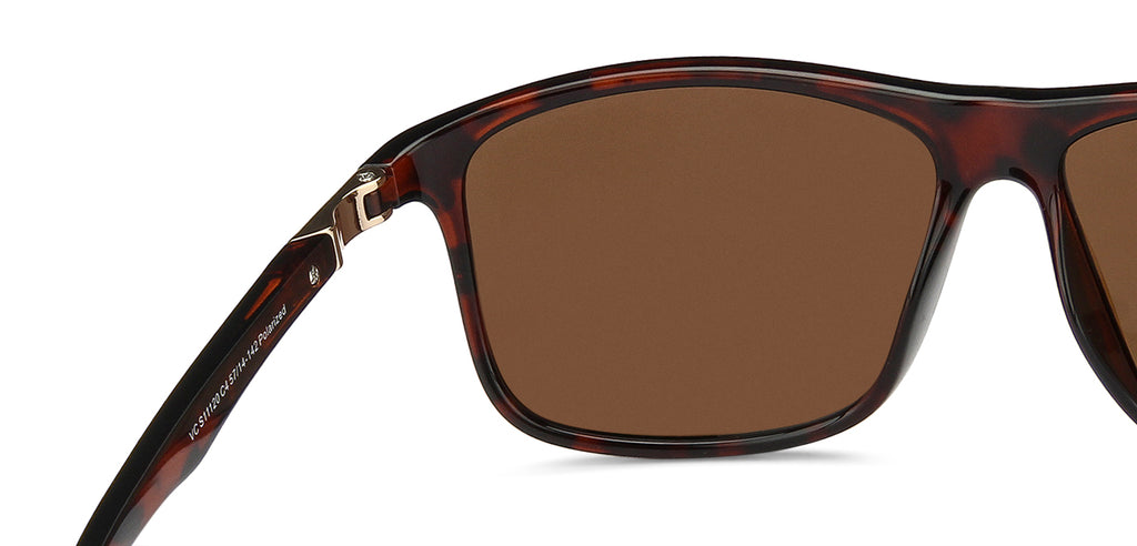 -Frame Wayfarer--SG -Frame Wayfarer--SG