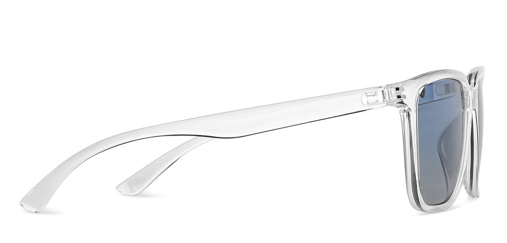 -Frame Wayfarer--SG -Frame Wayfarer--SG
