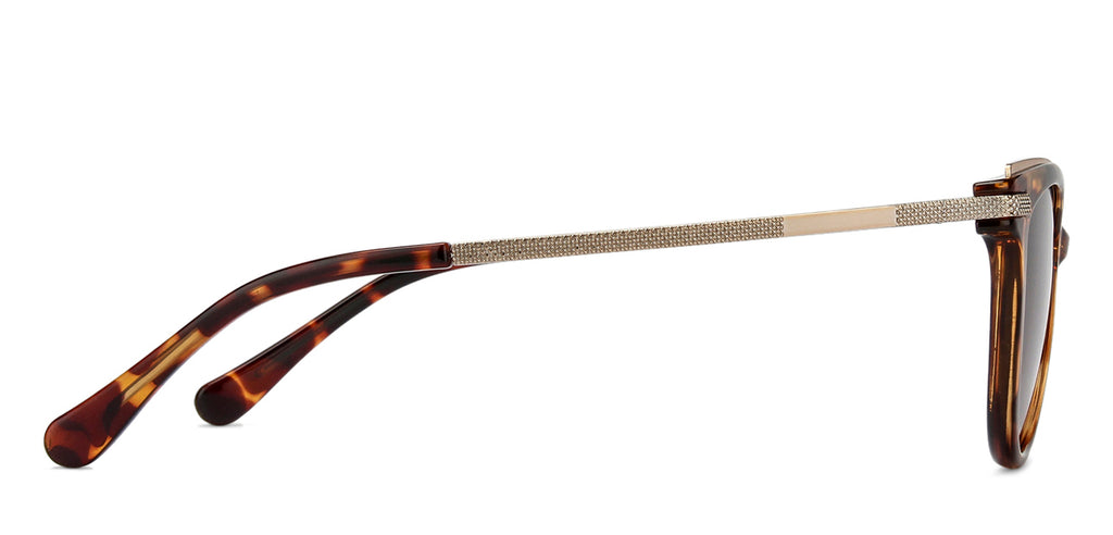 -Frame Cat Eye--SG -Frame Cat Eye--SG