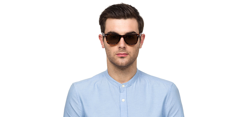 -Frame Wayfarer--SG -Frame Wayfarer--SG