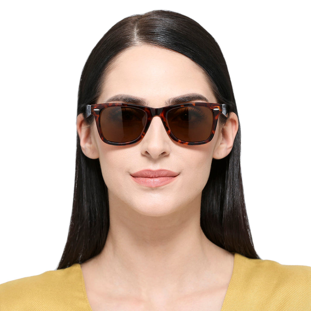 -Frame Wayfarer--SG -Frame Wayfarer--SG