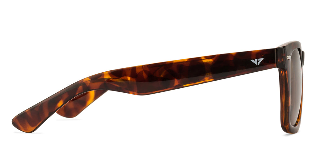 -Frame Wayfarer--SG -Frame Wayfarer--SG
