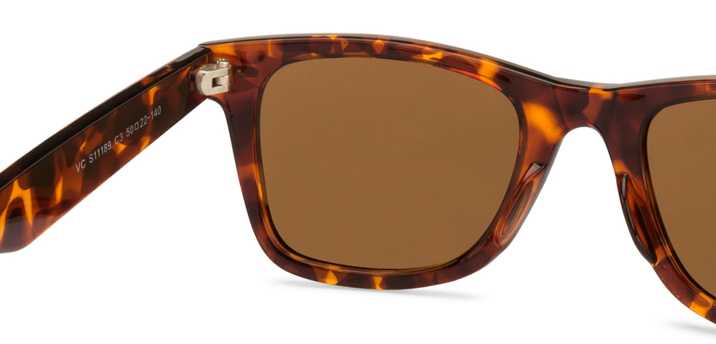 -Frame Wayfarer--SG -Frame Wayfarer--SG