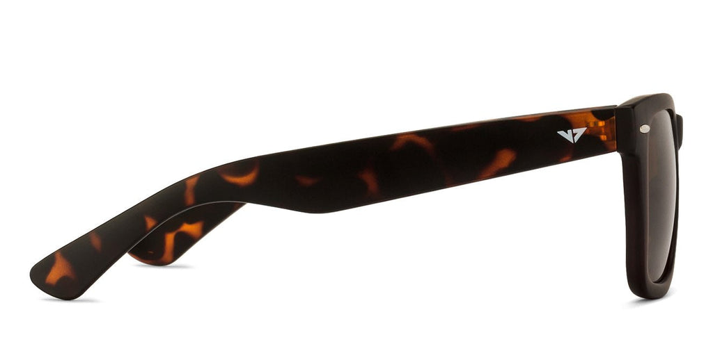-Frame Wayfarer--SG -Frame Wayfarer--SG